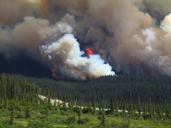 wildfire insurance claim