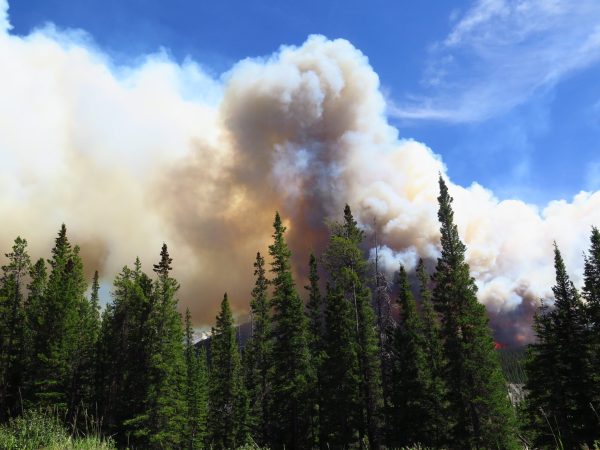 How your home insurance can help after an evacuation