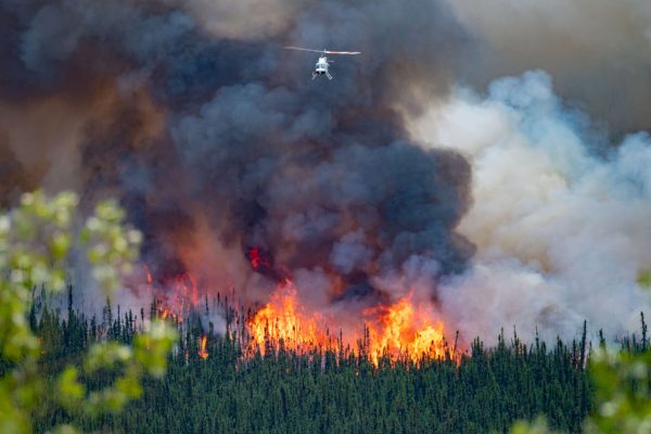 Insurance information for those affected by the B.C and N.W.T wildfires