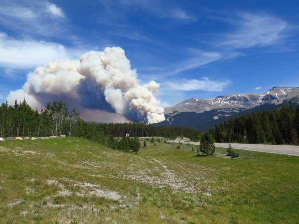 What to know about the Jasper wildfire What to know about the Jasper wildfire
