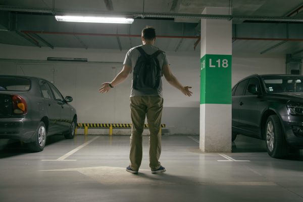Progress made on auto theft in Canada